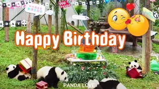 Aww 🧡 Funny Panda Compilation 😂 Cute Pet Videos | Panda Love