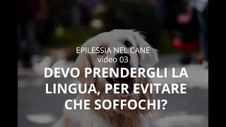 EPILESSIA NEL CANE 3 Può soffocare?