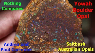 This Parcel is NUTS... Yowah Nuts! (Rough Boulder and Yowah Nuts From Saltbush Australian Opals)