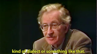 Linguist Noam Chomsky on Black English, AAVE, Ebonics, etc.