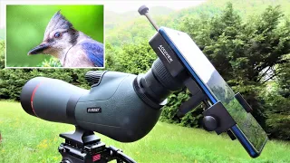 Move Shoot Move 3-Axis Smartphone Adapter Mount For Digiscoping Birds and Wildlife