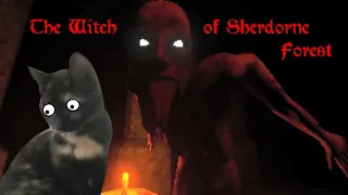 The Witch of Sherdorne ||  Indie Horror Game