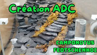 Création ADC pour mes fourmis Camponotus fedtschenkoi #nature #homemade #tuto