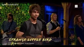 Alexander Rybak - Strange Little Bird - (lyrics)