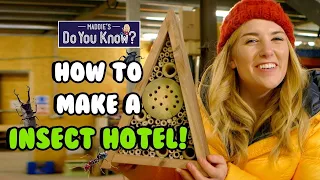 How is an Insect Hotel made? 🦗🦟 Maddie's Do You Know? 👩