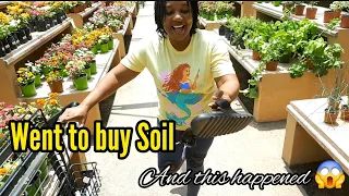 Went to buy Soil & This happened 😱 Jamaican Backyard Container Garden 💯🇯🇲💞