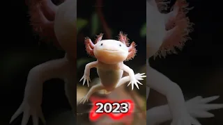 2023 axolotl VS 5000 bce axolotl #shorts #viral  #ytshort #youtubeshorts @mrindianhacker  @Mrbeast