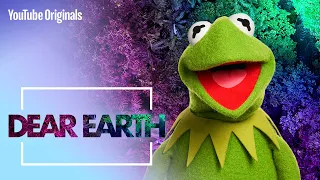 Kermit The Frog | Dear Earth