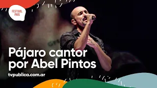 Pájaro Cantor por Abel Pintos en Chaya - Festival País 2022