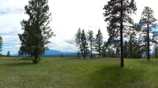 Gregory Greene: Colonization and the loss of dry forest resilience in the Rocky Mountain Trench