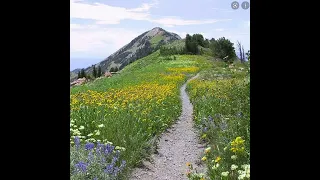 Uinta-Wasatch-Cache National Forest 🍀💖🍀