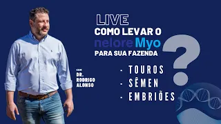 Touro, Embrião ou Sêmen? Como levar o Nelore Myo para a sua fazenda?