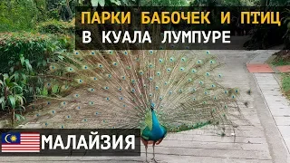 Парк бабочек и парк птиц в Куала Лумпуре