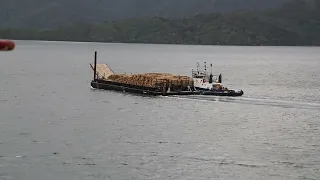 Vídeo de prueba. Ferry Wellington-Picton.