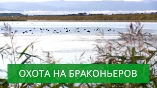 Охота на браконьеров. На островах начался массовый пролет водоплавающей дичи