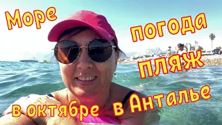 Отель SUITE LAGUNA 3* Анталья. Завтрак. Погода, море, пляж в октябре. Как играют котята в отеле