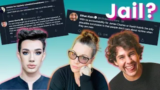 Lawyer Reacts | James Charles, David Dobrik & Lady Gaga's Dogs. What's the law?