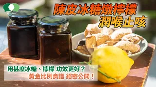 【齋Talking】DIY陳皮冰糖燉檸檬，用甚麼冰糖和檸檬品種，功效更好？ 黃金比例食譜，絕密公開！ (中文字幕)