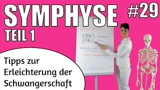 Was ist eine Symphyse?  Schambein / Symphysen schmerzen in der Schwangerschaft | Symphysenlockerung
