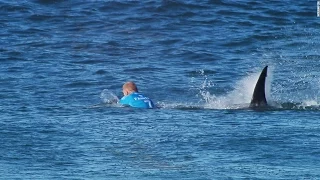 Pro Surfer Fights Off Shark On Live TV