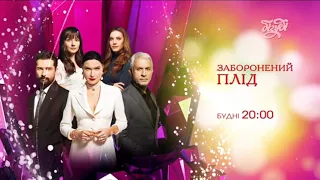 "Заборонений плід" на Бігуді у будні о 20:00