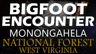 Bigfoot Encounter In The Monongahela National Forest (West Virginia) It Tried To Take My Daughter