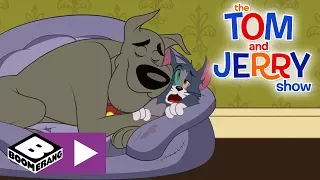The Tom and Jerry Show | The Perfect Sleeping Buddy | Boomerang UK