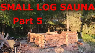 Building a small log cabin/sauna part 5, comparing chainsaws.