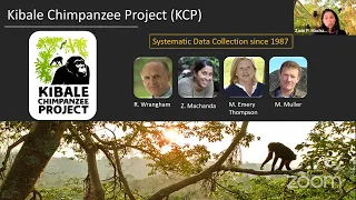 #CNStalk - Zarin Machanda: What can chimpanzees tell us about aging (PG version!)