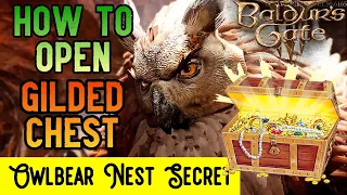 Baldur's Gate 3 - How to Open the Gilded Chest in Owlbear Nest