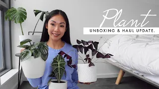 Plant unboxing | Houseplant haul 2021