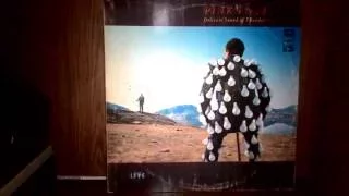 Pink Floyd Delicate sound of thunder(винил)