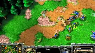Fly (Orc) vs Th000 (HU) - G1 - WarCraft  3 - WC976
