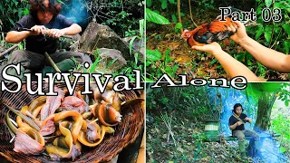 60 Days Alone: Survival Skills in the Rainforest | Part 03