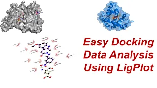 Simple Docking | How to Analyze Molecular Docking Data In Few Minutes| Bioinformatics Tutorial