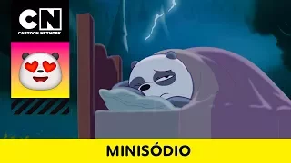 Sonhum | Ursos Sem Curso | CN Minisódio | Cartoon Network