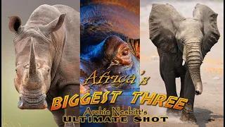 Africa’s Biggest Three - Bow hunt Elephant - big game bow hunt - AI enhanced video to HD