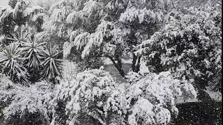 Neve San Potito Sannitico 3 Gennaio 2019