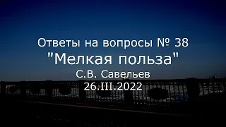 С.В. Савельев - Мелкая польза