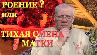 Май. Весенние работы на пасеке. Развитие пчелиной семьи. Тихая смена матки.