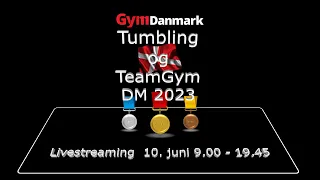 DM iTumbling og TeamGym 2023
