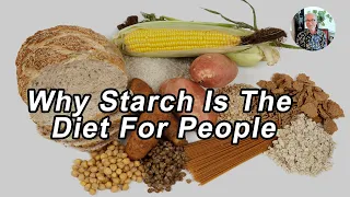 Why Starch Is The Diet For People - John McDougall, MD - Interview