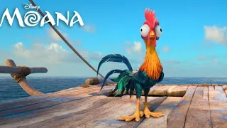 MOANA |Funniest Hei Hei moments from the Disney Animated movie #disney #moana