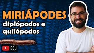 Miriápodes (Artrópodes: Parte 5) - Aula 24 - Módulo VI: Zoologia | Prof. Guilherme