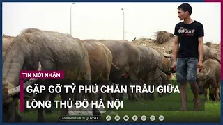 Gặp tỷ phú chăn trâu giữa Hà Nội học kiếm tiền | VTC Now