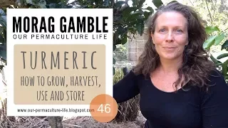 Turmeric: How to Grow, Harvest, Use and Store with Morag Gamble