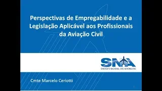 Perspectivas de Empregabilidade e a Legislação Aplicável aos Profissionais da Aviação Civil