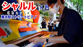 【ストリートピアノ】「シャルル」を弾いてみた byよみぃ Japanese Street Piano Performance."Charles"
