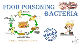 Food Poisoning Bacteria (HACCP Lessons - Part 08)