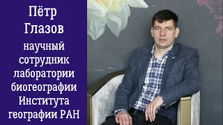 Петр Глазов о работе орнитолога, изучении миграции птиц и влиянии климата на их популяции